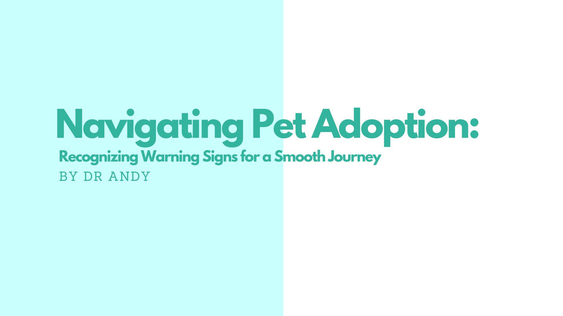 Navigating Pet Adoption: Recognizing Warning Signs for a Smooth Journey