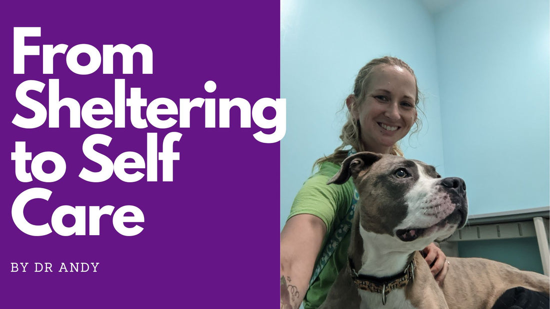 From Sheltering to Self-Care