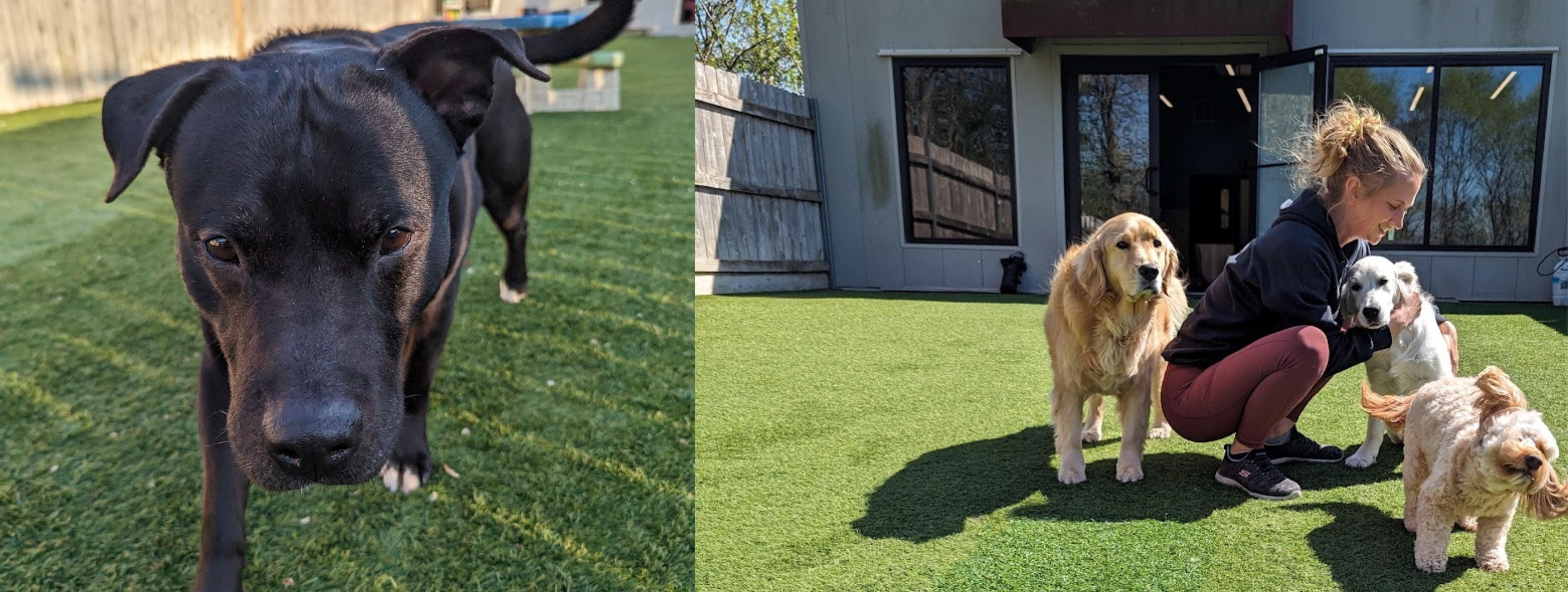 Do Better Training, Alpha Behavior Debunked