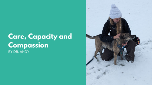 Care, Capacity and Compassion