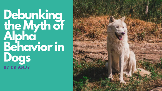 Debunking the Myth of Alpha Behavior in Dogs
