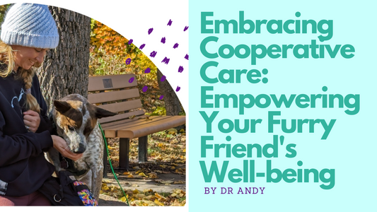 Embracing Cooperative Care: Empowering Your Furry Friend's Well-being