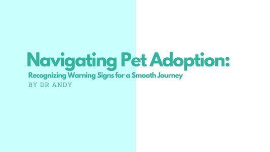 Navigating Pet Adoption: Recognizing Warning Signs for a Smooth Journey