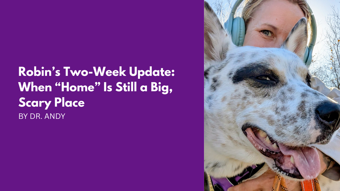 Robin’s Two-Week Update: When “Home” Is Still a Big, Scary Place