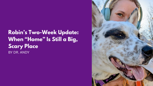 Robin’s Two-Week Update: When “Home” Is Still a Big, Scary Place