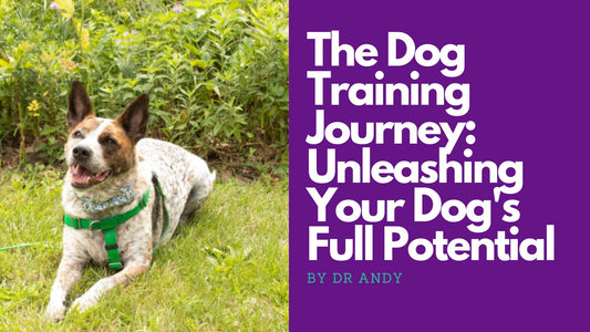 The Dog Training Journey: Unleashing Your Dog's Full Potential