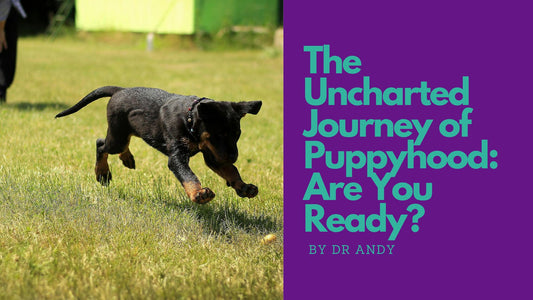The Uncharted Journey of Puppyhood: Are you ready?
