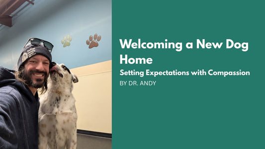Welcoming a New Dog Home: Setting Expectations with Compassion