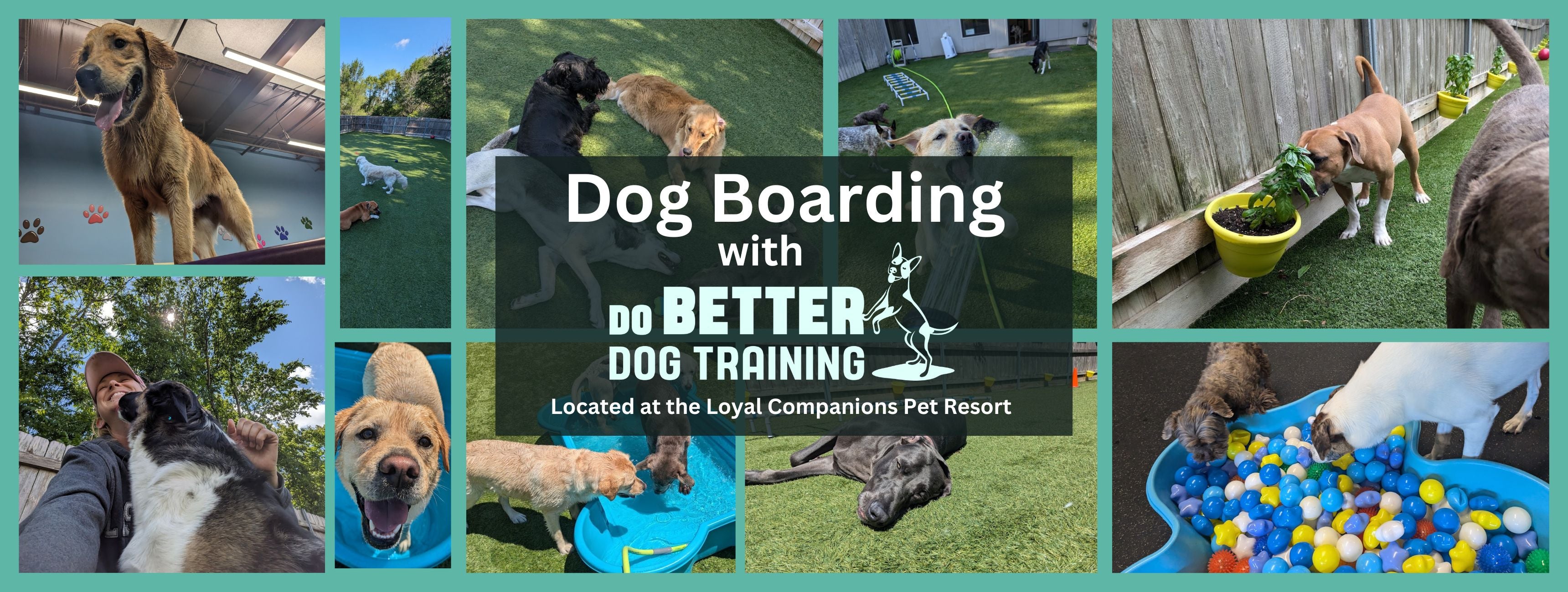 Dog Boarding St. Charles Illinois Dobettertraining